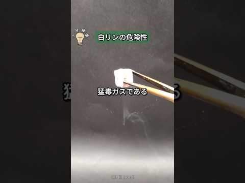 
📌 配信ルール
・他人が不快に感じる可能性のある発言は禁止
・視聴者同士の会話は必要最低限にしてください
・プレイ内容や配信進行への指示・口出しは禁止
・鳩行為の禁止
・他配信者・第三者に関する比較、評価、噂話は禁止
(好意的・否定的を問いません)
※モデレーターの判断で、コメント削除・タイムアウト・BANを行います
※「鳩行為」とは、他配信の状況・情報を伝える行為を指します
💬 よくある質問(FAQ)
Q. 名前の由来は?
A. シーズン8付近でLスターをめちゃくちゃ使っていて、それを名前にしました。
今は全く使ってませんが、LスターダメージはPC世界1位です。
Q. Lスター使わないんですか?
A. 昔は愛用してましたが、今は性能が別物なので使ってません。
Q. 感度は?反応曲線は?FOVは?
A. すべてこちらにまとめています!
→ https://note.com/lstarshunshun/n/n9b291ab972ae
Q. フリーク使ってる?どこの?
A. 使ってます!
→ https://note.com/lstarshunshun/n/n9b291ab972ae
Q. 周辺機器/デバイス教えて!
→ https://note.com/lstarshunshun/n/n9b291ab972ae
Q. 何時までやるの?
A. 基本は14:30〜24:00 詳細はこちら → https://discord.gg/5PFhbR73AT
Q. 大会出ないの?プロにならないの?コラボしないの?
A. 大会も出てますし、いろんな人と遊んでます!
プロは熱量の差などが難しくて考えていません。
Q. 音設定やイコライザーは?
A. ゲーム内音量100%で特にいじってません!
Q:あの人チーターに見えなかったけどなんで通報したの?
A:巧妙なチーターが増えているため調査依頼として送っています。APEX運営さんから「通報で即BANはないので、少しでも違和感があれば通報を」と言われています。特にデスボックスの名前確認、し体撃ち、フィニキャンなどはチーターがよく行うため確認してもらっています。
Q:通報だけでBANされるの?
A:されません。通報はあくまで調査のきっかけです。
Q:なんで対戦ありがとうございました≒対あり報告がダメなの?
A:匿名モードで遊んでおり、ゴースティングと区別がつかないためルールで禁止しています。
Q:ゴースティングってなに?
A:配信を見ながら同じゲームに参加し、配信者の位置や行動を把握して有利にゲームを進める不正行為です。海外ではスナイプとも呼ばれています。悪質だと判断された場合BANされます。
📢 リンクまとめ
💬 活動告知やコーチングDiscord(誰でも参加OK)
https://discord.gg/5PFhbR73AT
🎉 YouTubeメンバー登録はこちら
https://www.youtube.com/channel/UC8x1Wav9AO4QqRHy6UiRoVw/join
📝 感度・デバイス・PC構成まとめ
https://note.com/lstarshunshun/n/n9b291ab972ae
🎮 NextPartner
NEXTグリップ V2.5 → https://amzn.to/4jNeBvu
プロフリーク V2 → https://amzn.to/3Z6jpDG
🎥 Twitch配信
https://twitch.tv/lstarshunshun
🐦 Twitter(X)
#完全ソロプレデター #RTX5090 #Lしゅん #Lスターしゅんしゅん #しゅんしゅんGAMES #APEX配信 #ソロマスター
配信者のためのコメントアプリ「わんコメ」https://onecomme.com
使用フォント:零ゴシック https://flopdesign.booth.pm/items/265853
![